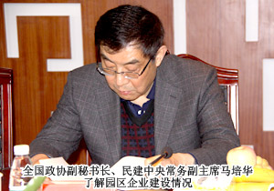 全國政協(xié)副秘書長、民建中央常務(wù)副主席馬培華一行蒞臨綠之韻集團考察