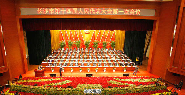 綠之韻集團胡國安董事長當(dāng)選長沙市十四屆人大代表，積極呼吁實業(yè)強國