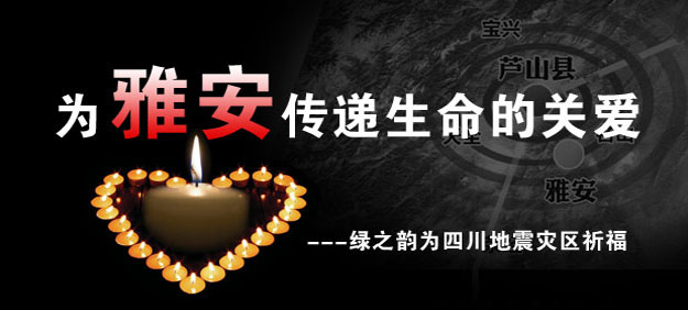 為雅安祈?！G之韻用愛心行動守護雅安人民