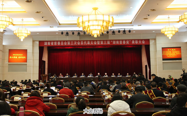 胡國安董事長當選湖南省慈善總會副會長，綠之韻集團榮膺“湖南省慈善獎”殊榮