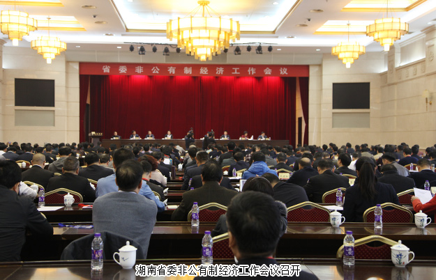 綠之韻集團(tuán)董事長(zhǎng)胡國(guó)安出席湖南省委非公有制經(jīng)濟(jì)工作會(huì)議，并接受湖南衛(wèi)視、經(jīng)視采訪