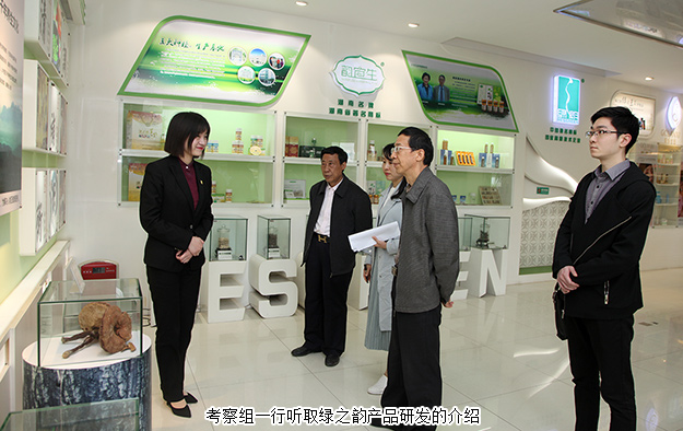 湖南省商務廳領導一行蒞臨綠之韻考察