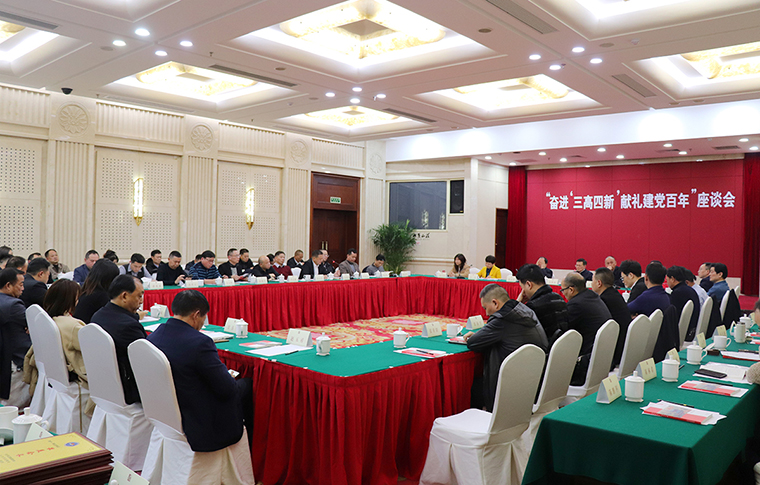 胡國安董事長參加長沙市工商聯(lián)“奮進(jìn)‘三高四新’獻(xiàn)禮建黨百年”座談會