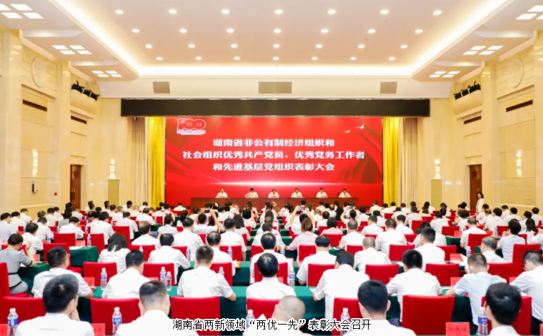 湖南省兩新領(lǐng)域“兩優(yōu)一先”表彰大會(huì)召開，綠之韻集團(tuán)黨委書記劉云榮獲湖南省“優(yōu)秀黨務(wù)工作者”榮譽(yù)