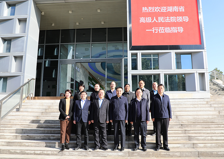 湖南省高級人民法院黨組書記、院長田立文一行蒞臨綠之韻調(diào)研指導