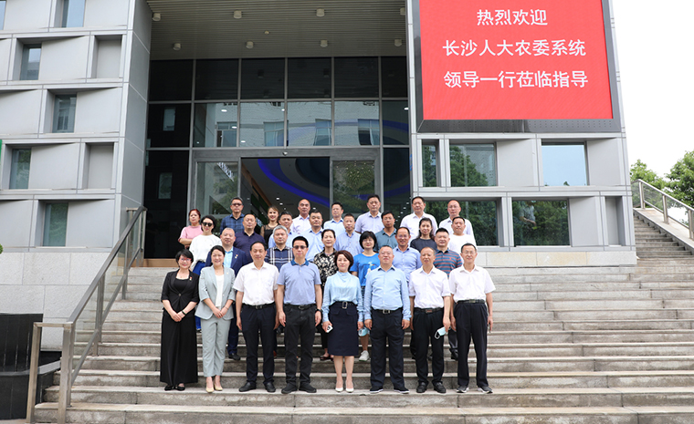 匯智聚力履職 助力鄉(xiāng)村振興 | 長沙市人大常委會(huì)副主任李平一行蒞臨綠之韻調(diào)研