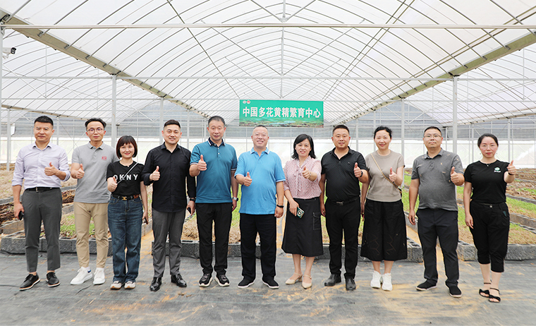 盡職履責(zé) 共謀家鄉(xiāng)產(chǎn)業(yè)振興 | 胡國安董事長考察安化黃精產(chǎn)業(yè)發(fā)展，助力鄉(xiāng)村振興造福桑梓